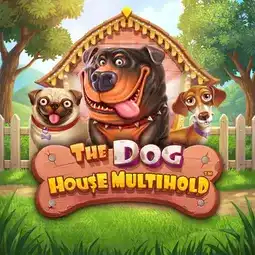 The Dog House Multihold game at AmunRa Casino for Australia players The Dog House Multihold game at AmunRa Casino for Australia players